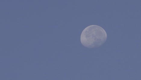 the half moon that is not full in the morning, beautiful blue background