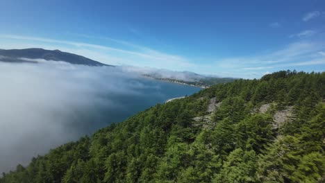 drone footage showcases lush trees and mist over calm waters at dawn