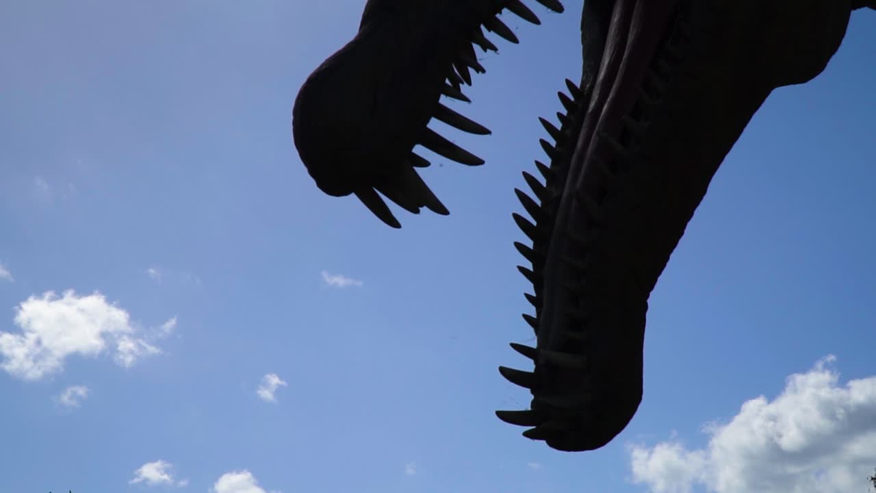 cerrar silueta cabeza de dinosaurio y dientes grandes escena aterradora miedo animal histórico antiguo cielo brillante con nubes cámara lenta