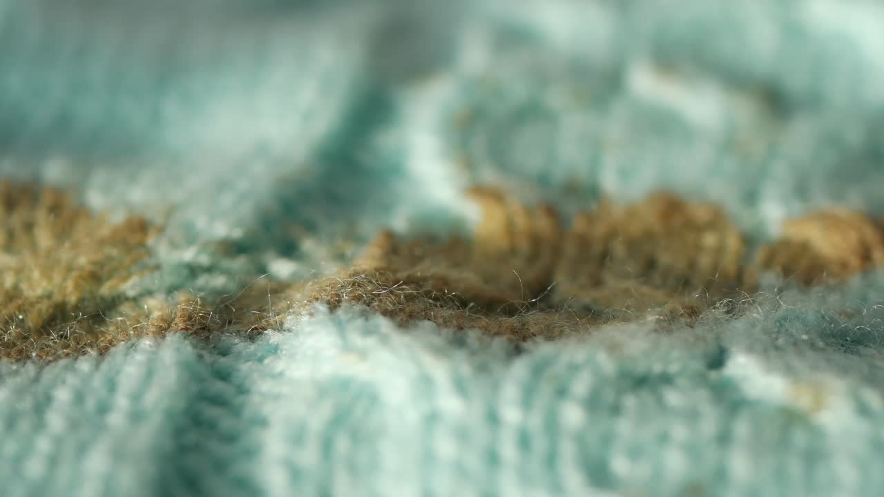 Mold Growth on Fabric