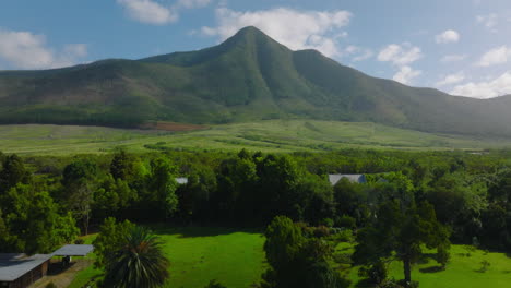 Aufsteigender-Schuss-Von-Gebäuden-In-üppiger-Grüner-Tropischer-Vegetation-In-Afrikanischer-Landschaft.-Berggipfel-Im-Hintergrund.-Südafrika