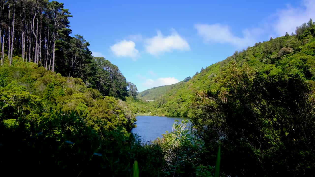 Glimpse freshwater lake in forest environment on sunny day in Zealandia, Wellington, New Zealand Aotearoa