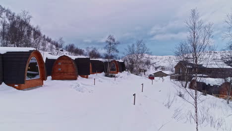 a small neighbourhood of wooden cottages at a rustic landscape covered in snow