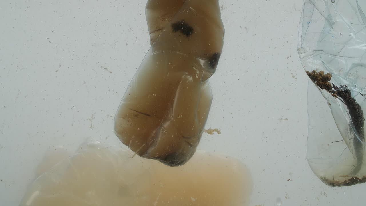 подводные кадры проблемы загрязнения пластиком в океане