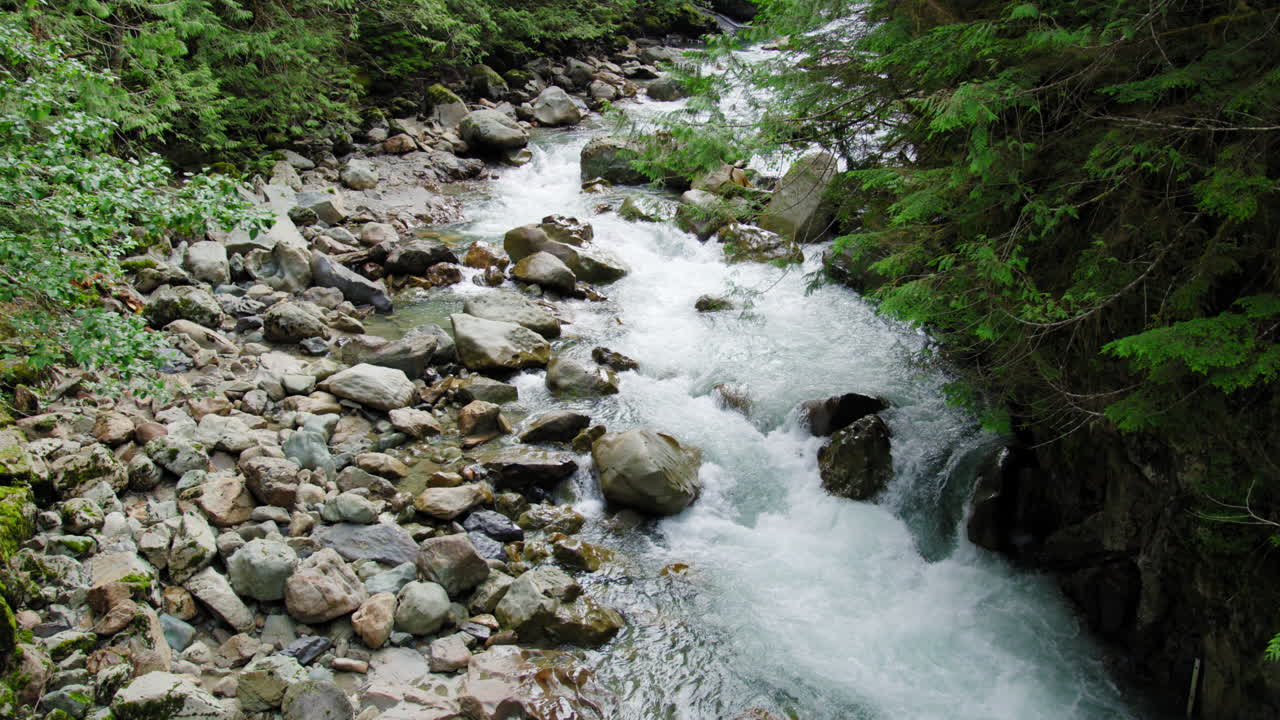 森の中の岩だらけの川を流れる水