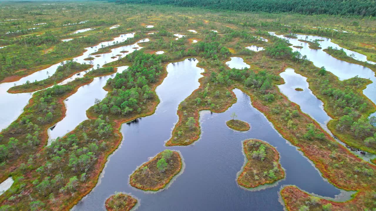 Exploring the beauty of Kemeri swamp in Latvia from above