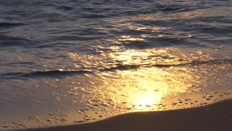 waves on shore at dawn