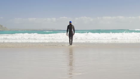 rear view of male surfer walking in the beach