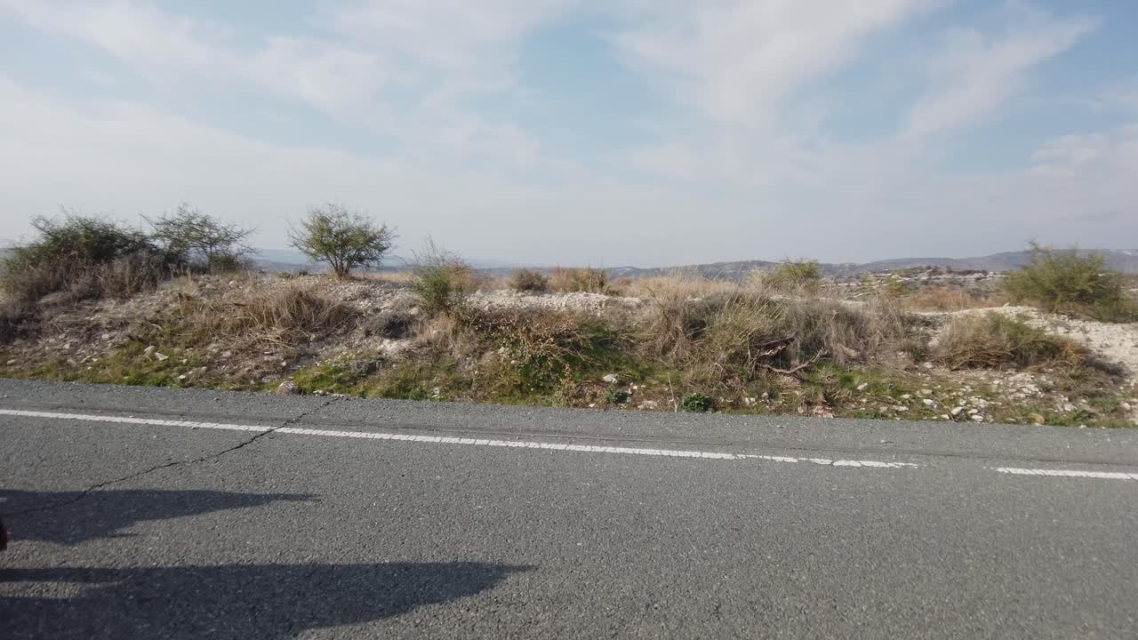 키프로스의 포장된 고속도로를 걷고 있는 한 쌍의 자유 로밍 염소