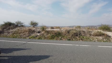 a pair of free-roam goats walking down a paved highway in cyprus