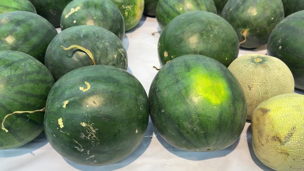 Ferske vannmeloner og cantaloupemeloner utstilt på markedet