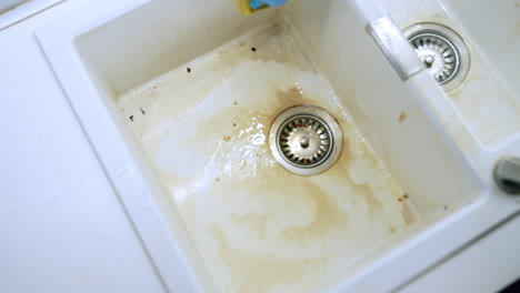 cleaning a dirty kitchen sink with care. a person scrubs a stained kitchen sink with a sponge, aiming to restore its cleanliness and shine