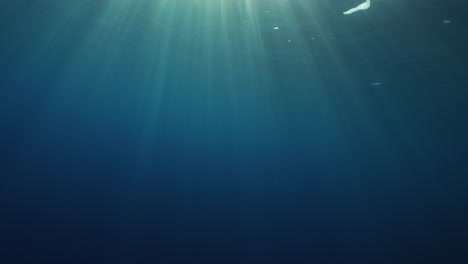 sunrays underwater breaking trough the surface and penetrating the clear tropical water with their light beams