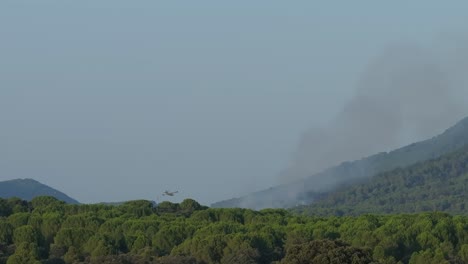 167mm drone filming of a fire in a pine forest, we see the trail of smoke and see how a seaplane arrives and releases a spill of water in the affected area, it is filmed in slow motion
