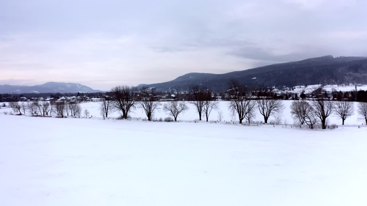 퀘벡의 흐린 겨울날 멋진 보행자 골목을 따라 드론