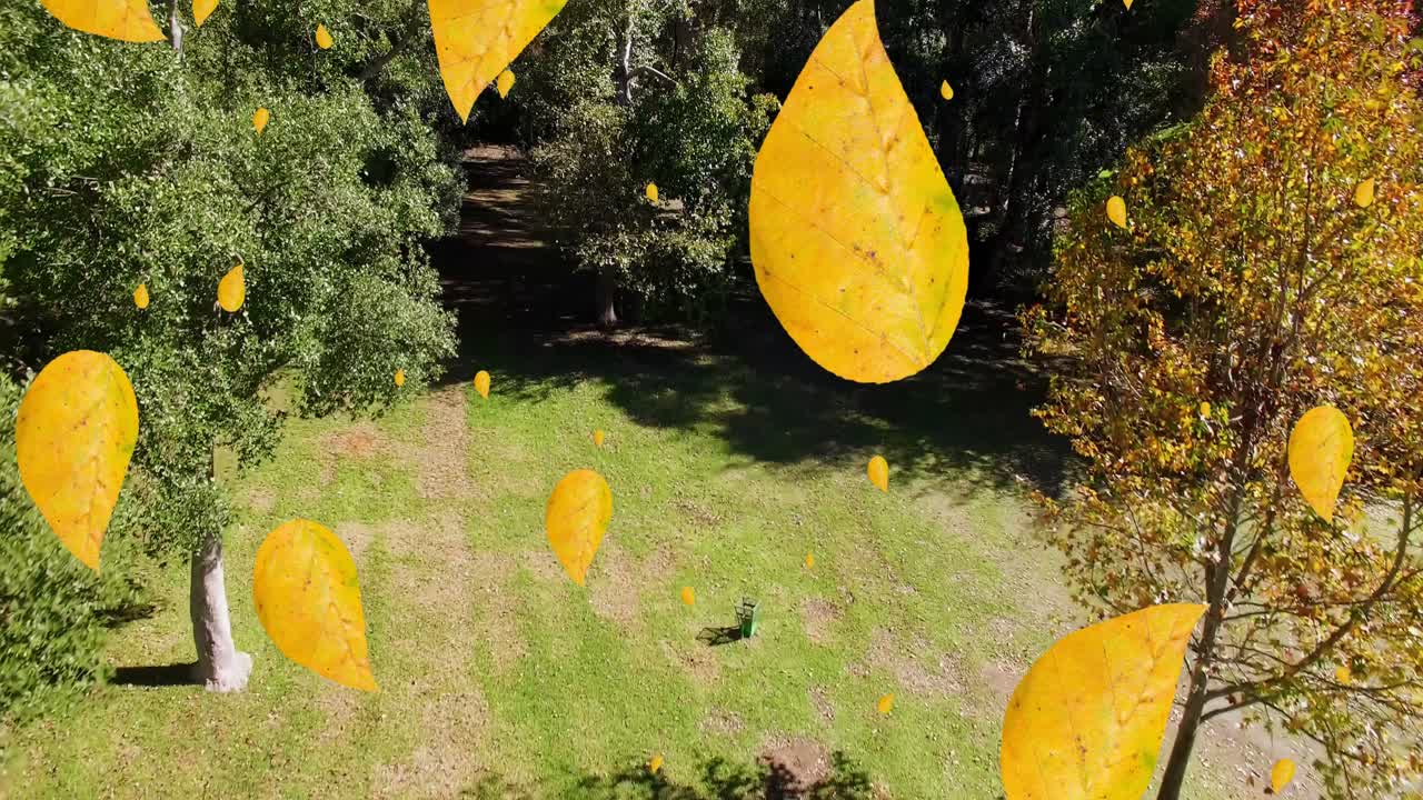 공원에서 떨어지는 오렌지 색의 가을 잎의 애니메이션
