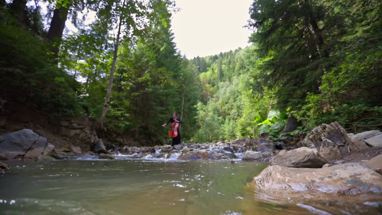 Female cellist in black dress playing with musical instrument. Pretty woman playing the cello outdoor.