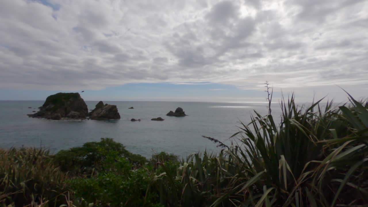 paisaje escénico de pastos que soplan en el viento en primer plano, en el fondo hay pequeñas islas en el océano, un pájaro vuela a través de la escena