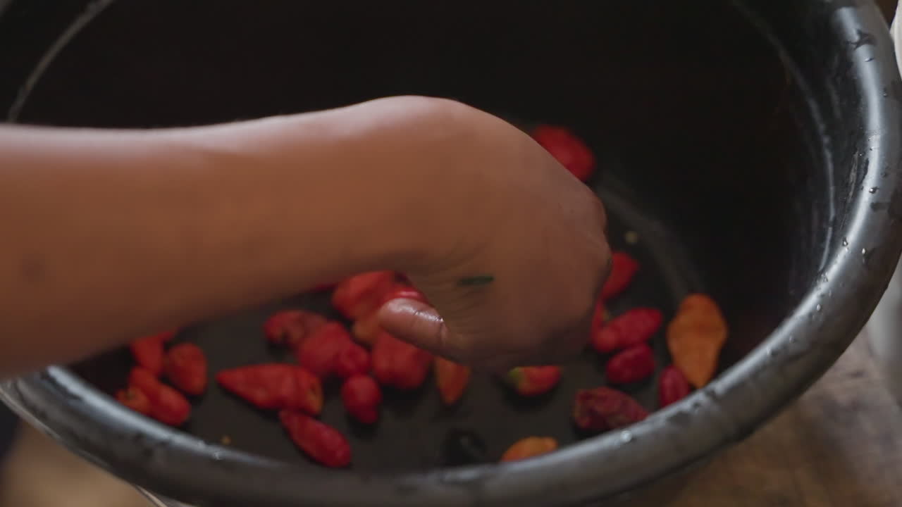 Vendor sorting red chilies in basin, lively market hands pick and display small peppers for sale, quick rhythmic motions, tactile inspection and arrangement highlight commercial trade and fresh
