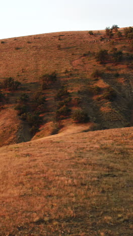 berglandschap bij zonsopgang of zonsondergang