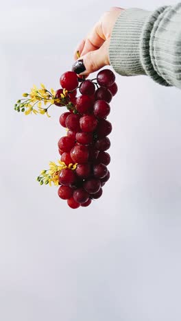 hand holding a bunch of red grapes with yellow flowers