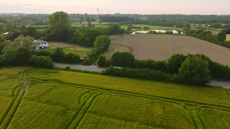 aerial tracking shot of a motorhome driving in middle of canola fields, sunset