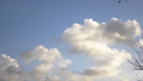 Clouds-on-blue-sky-with-branches-in-foreground