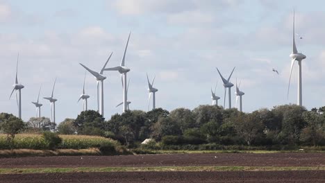 Parque-Eólico-Visto-A-Través-De-Tierras-De-Cultivo-Aradas