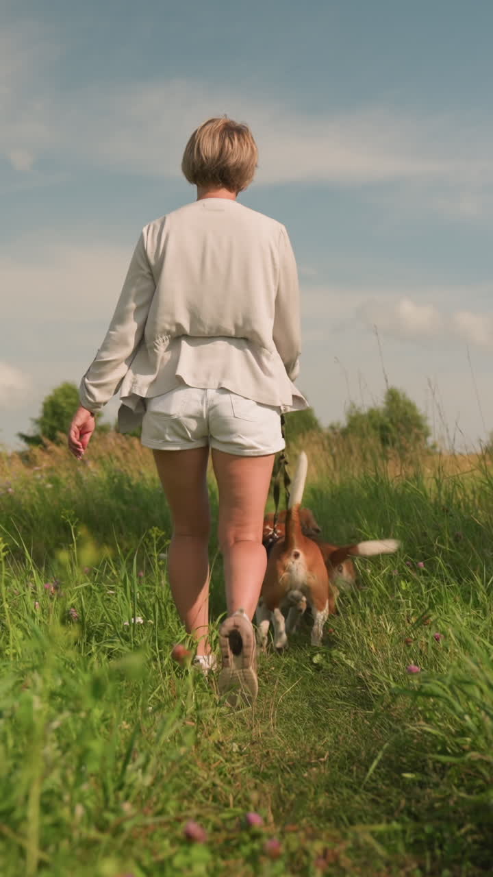 개 트레이너는 개와 함께 풀을 고 놀이를 하며 그녀를 앞으로 끌고 가고 있으며, 배경에는 은 파란 하늘 아래의 초록색과 나무의 광활한 풍경이 있습니다.