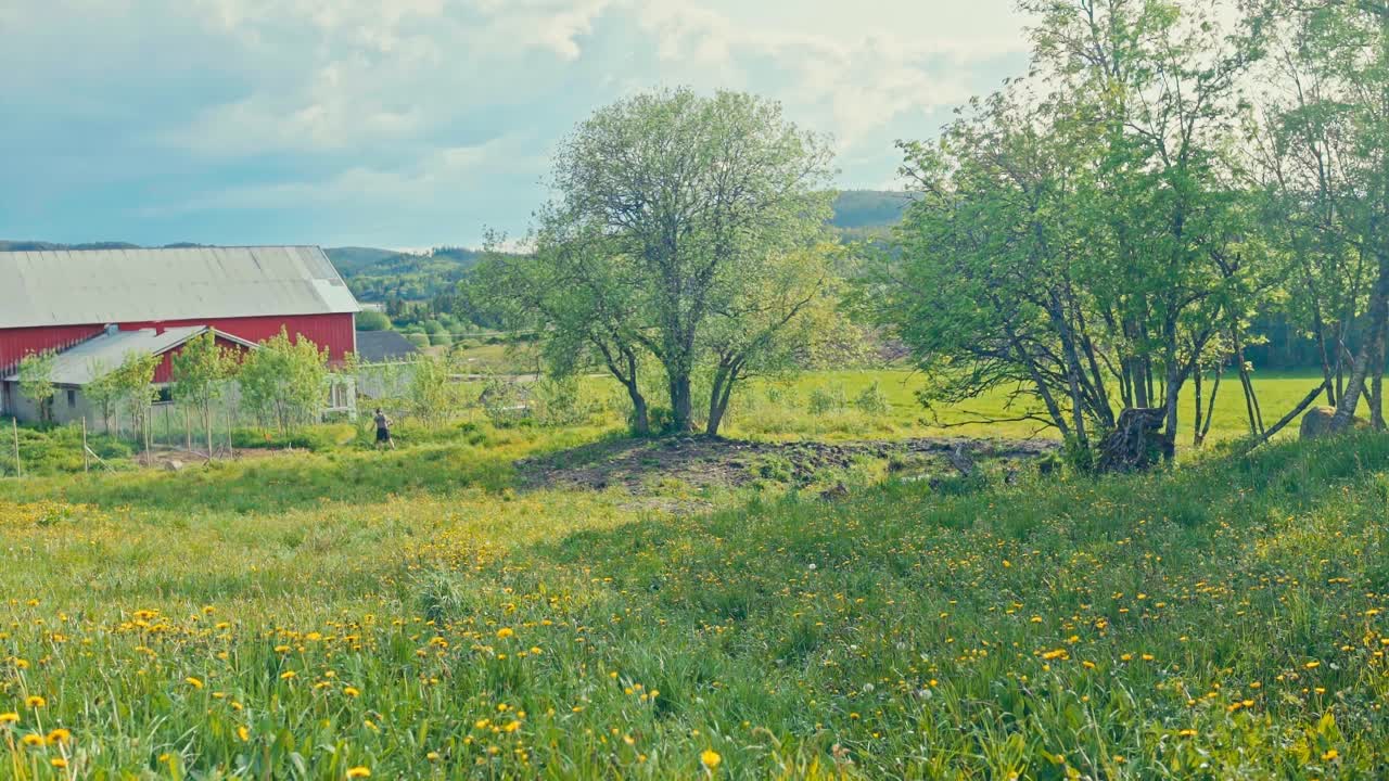 Norwegian Man Cutting The Grassy Fields With Grass Cutter Machine In Daytime. - timelapse shot