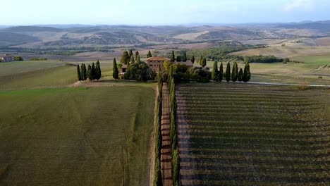 cipreses a lo largo de un camino a una villa agrícola tradicional en toscana, italia, muñeca aérea en tiro