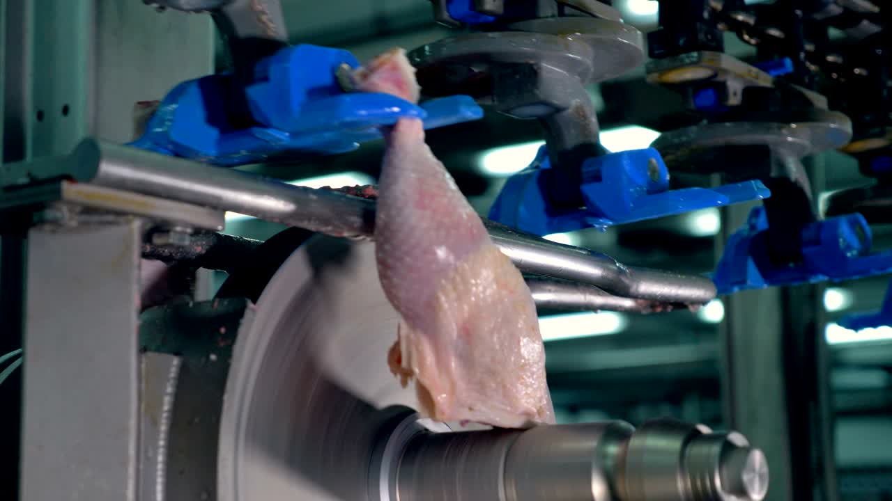 uma visão detalhada do processo de separação da coxa de frango.