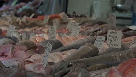 fresh pollock, brixton, london, united kingdom