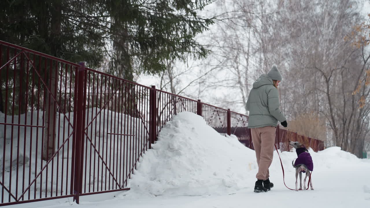 Dog owner walking with dog in purple coat along snowy winter path, holding red leash, dog playfully jumping on hind legs, surrounded by snow-covered ground, trees, and iron fence in cold outdoor park