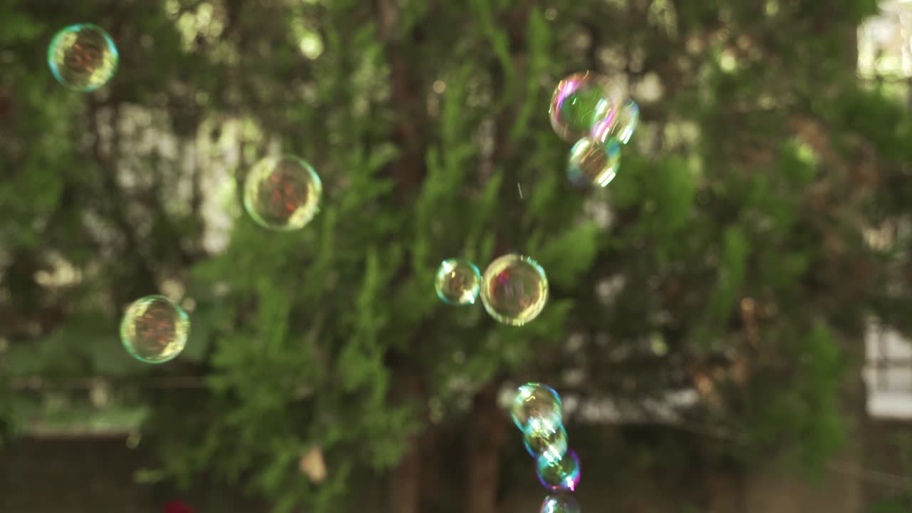 Transparent bubbles flying into the air, light colorful spheres on green background