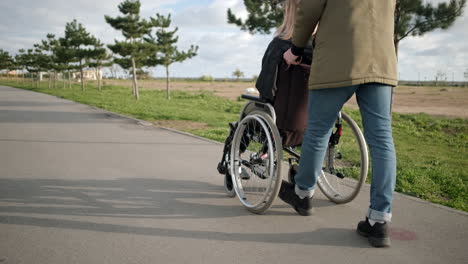 person pushing wheelchair in park