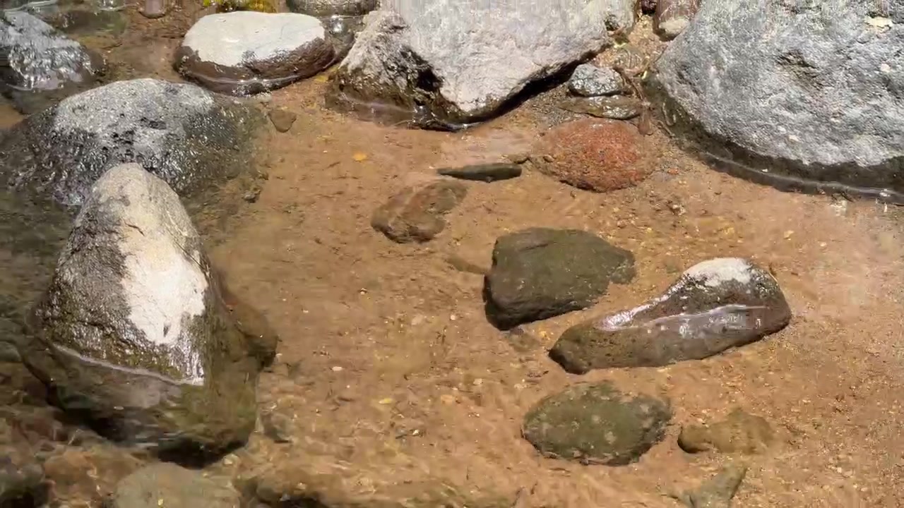 Acqua limpida che scorre sulle rocce in un ruscello poco profondo