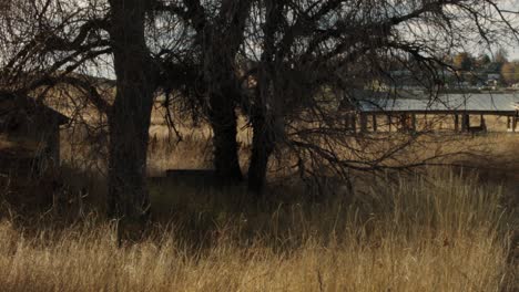 an old abandoned group of farm buildings