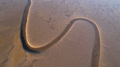 Antena-De-Arriba-Hacia-Abajo,-Canal-Del-Río-Curvándose-Rodeado-De-Tierra-Arenosa-Seca