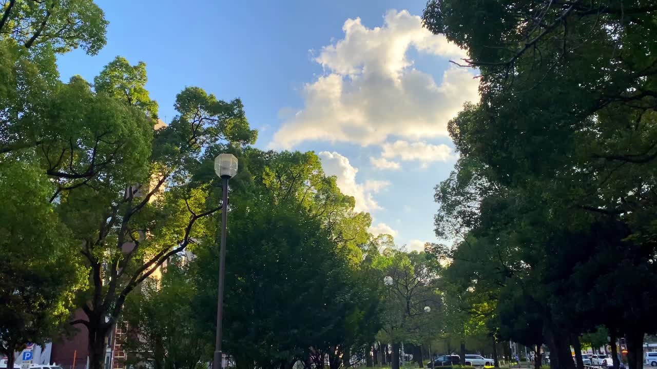 요코하마의 아름다운 풍경