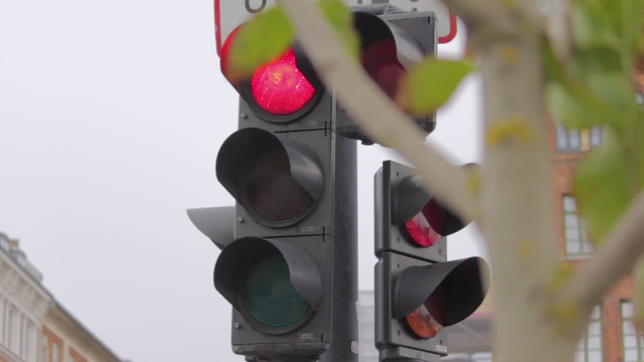 Red traffic light behind a tree regulates the road. Close-up Traffic regulations and driving safety. Building on background, Copenaghen, Denmark