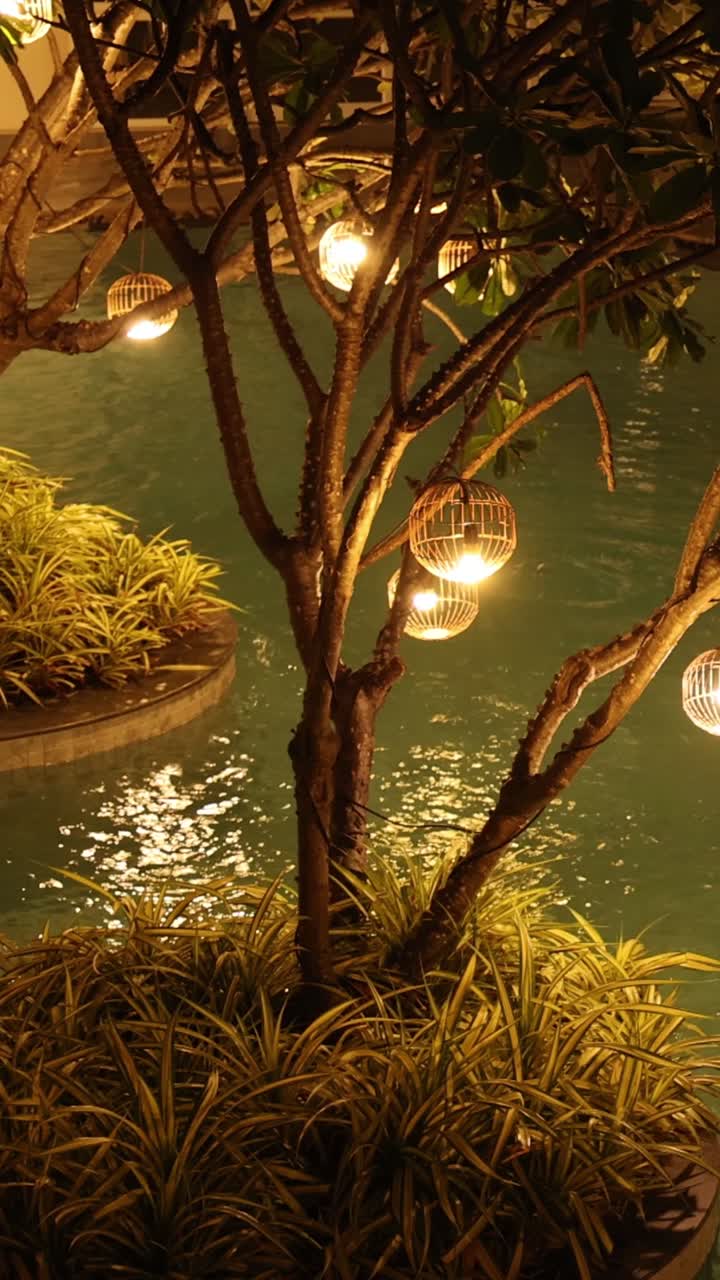 árbol con luces por un canal por la noche