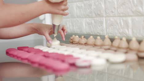 woman decorating macarons