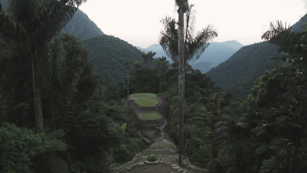 Tilt up wide shot at the ancient Tairona site of Ciudad Perdida, deep in the Sierra Nevada de Santa Marta, Colombia