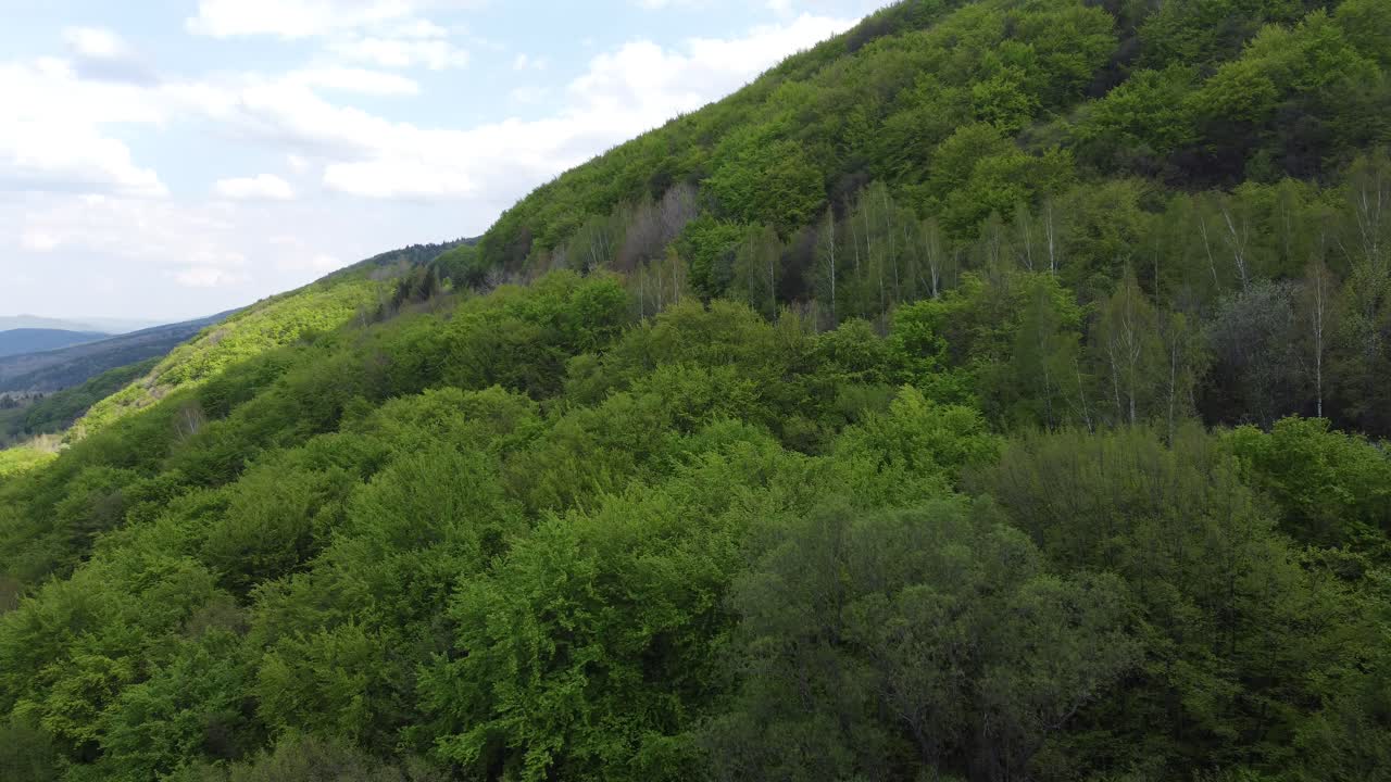 clip cinematográfico de drones sobre los exuberantes bosques de las montañas de vitosha en sofía, bulgaria