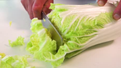 chef cutting chinese cabbage in kitchen