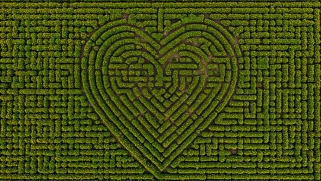 aerial view of a lush green maze formed in the shape of a heart, demonstrating natural beauty and intricate pathways surrounded by lively foliage and vegetation