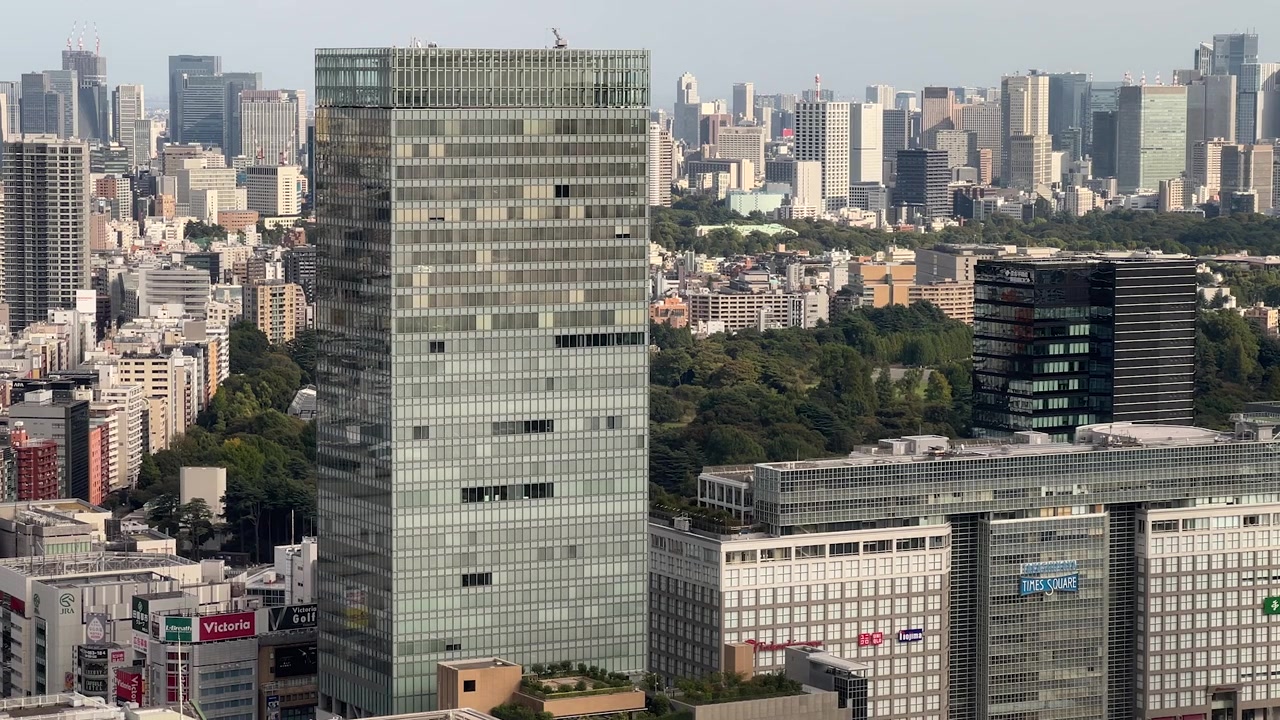 Veduta aerea sullo skyline di Tokyo di giorno con il Santuario Meiji in lontananza