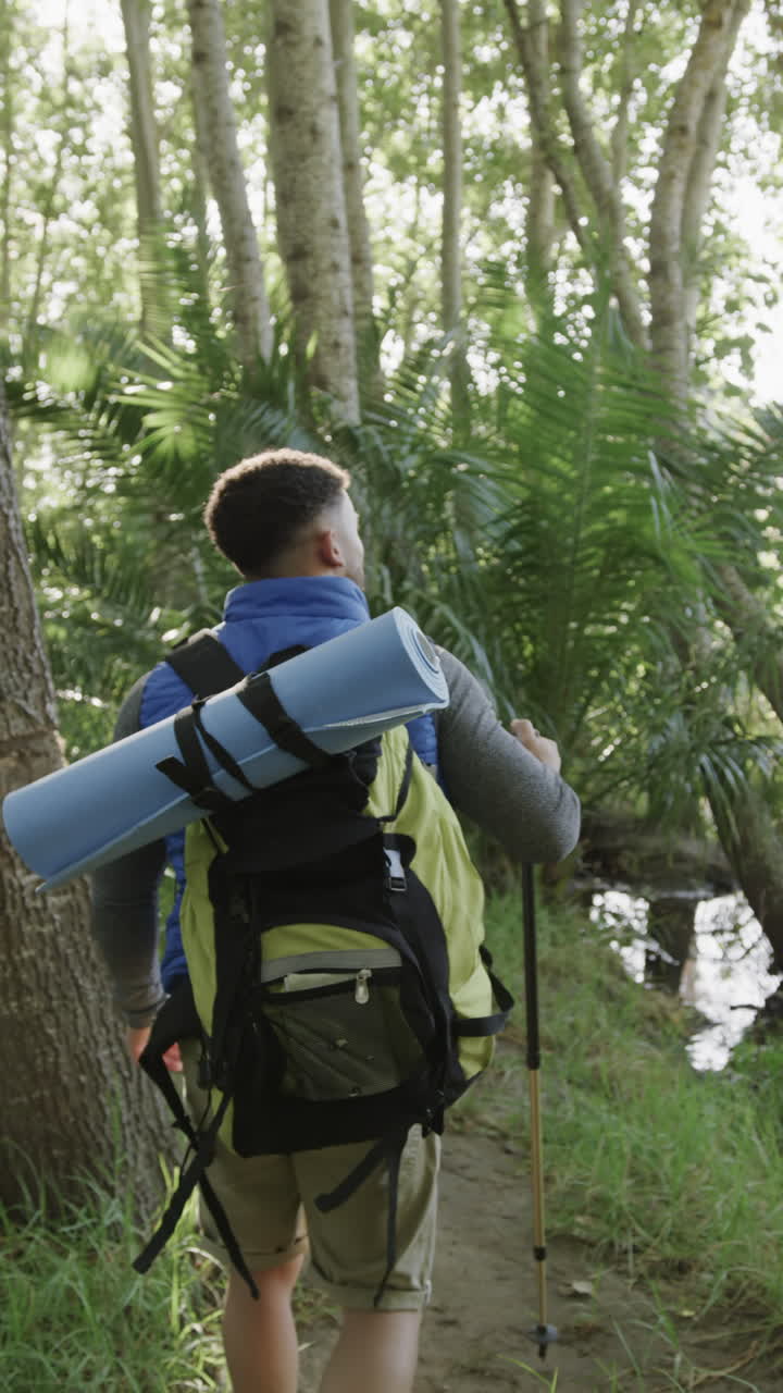 Vertical video of biracial man hiking with trekking poles in forest, slow motion