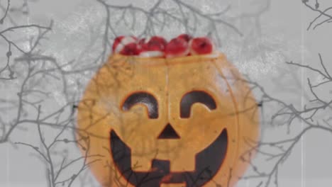 Animation-Eines-Zu-Halloween-Geschnitzten-Kürbiseimers-Mit-Süßigkeiten-Auf-Grauem-Hintergrund